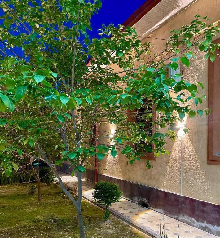 Amor Fati Hotel Tashkent Exterior photo